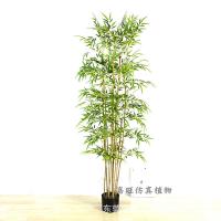 uploads/erp/collection/images/Home Garden/dgjiawang/XU0612804/img_b/XU0612804_img_b_4